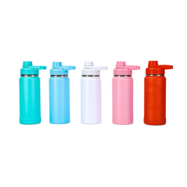 BPA-Free Insulated Water Bottle 650ml Capacity Leakproof Twist on Lid Slim Insulated Stainless Steel Water Bottle with Lid - Image 3