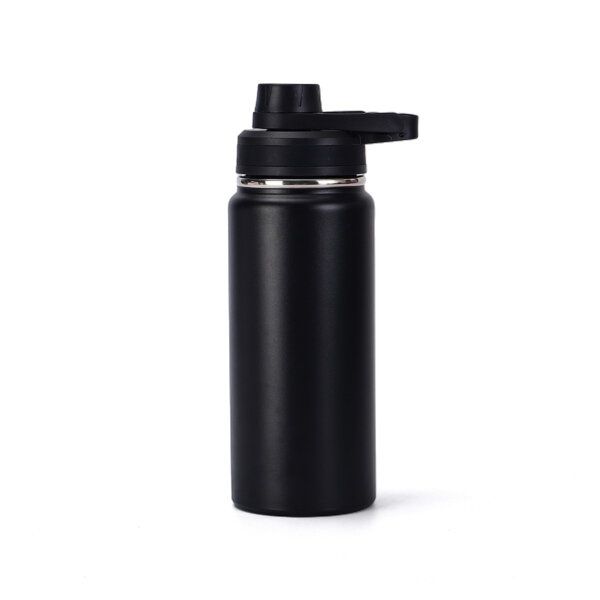 BPA-Free insulated water bottle