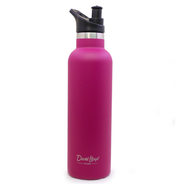 500ml Insulated Bottle
