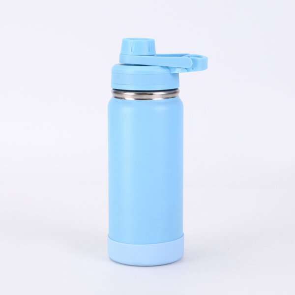BPA-Free Insulated Water Bottle 650ml Capacity Leakproof Twist on Lid Slim Insulated Stainless Steel Water Bottle with Lid
