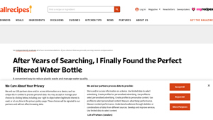 LifeStraw - Stainless Steel Water Filter Bottle