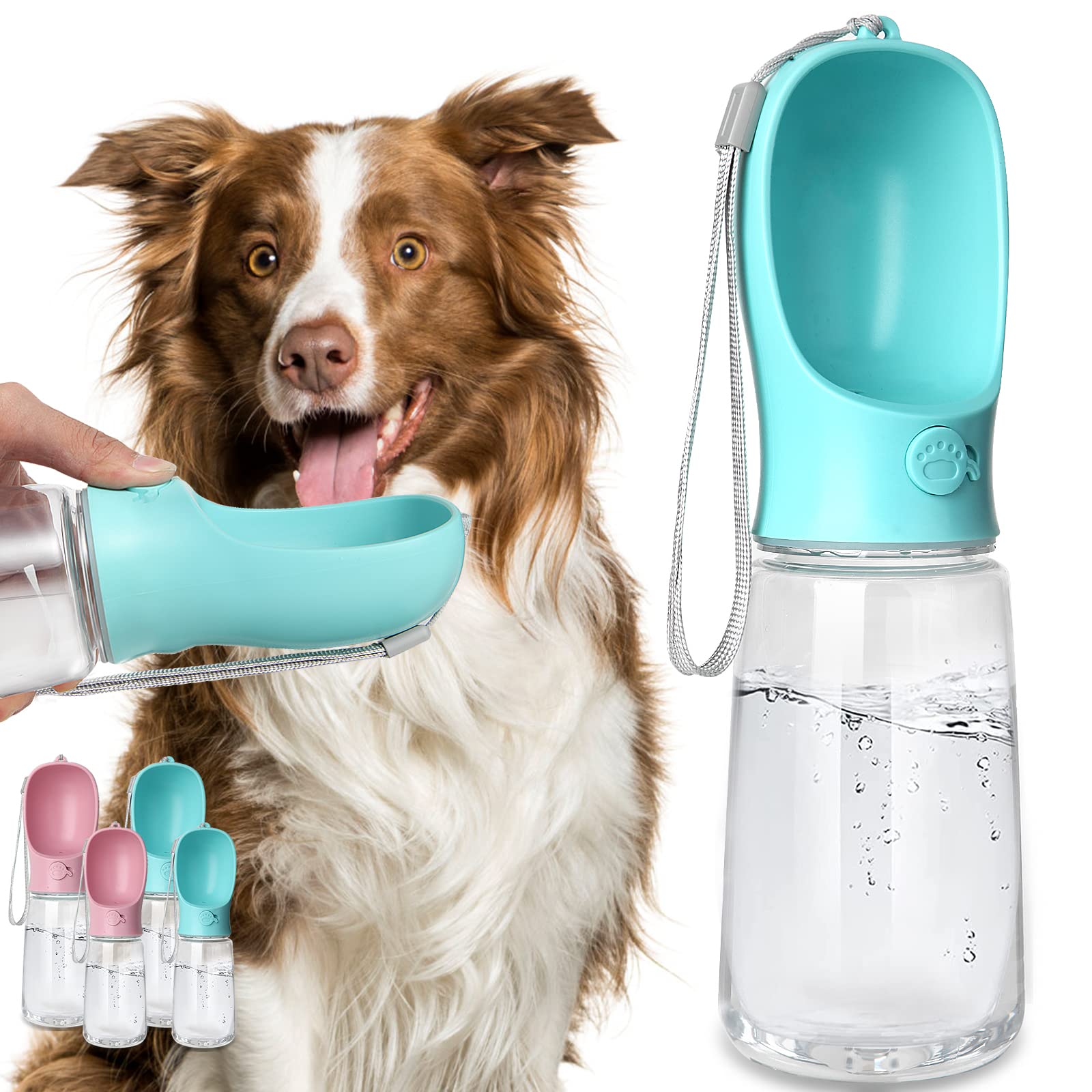 A stock image illustrating canine water bottle concepts