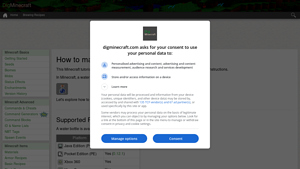 Minecraft - Water Bottle