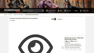 Springer - Flip Portable Dog Water Bottle