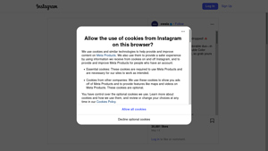 Instagram - Scraping Services