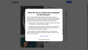 Instagram - Scraping Services
