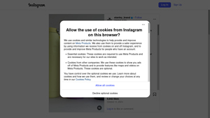 ScrapingDog - Instagram Data Scraping