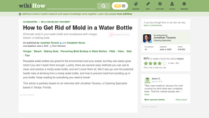 WikiHow - Essential Cleaning Solutions